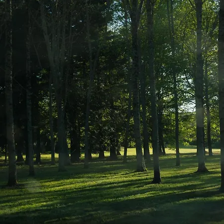 Chateau De * Saint-Martory