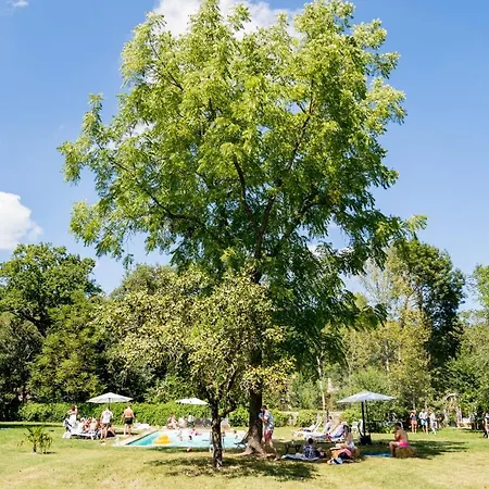 Chateau De * Saint-Martory