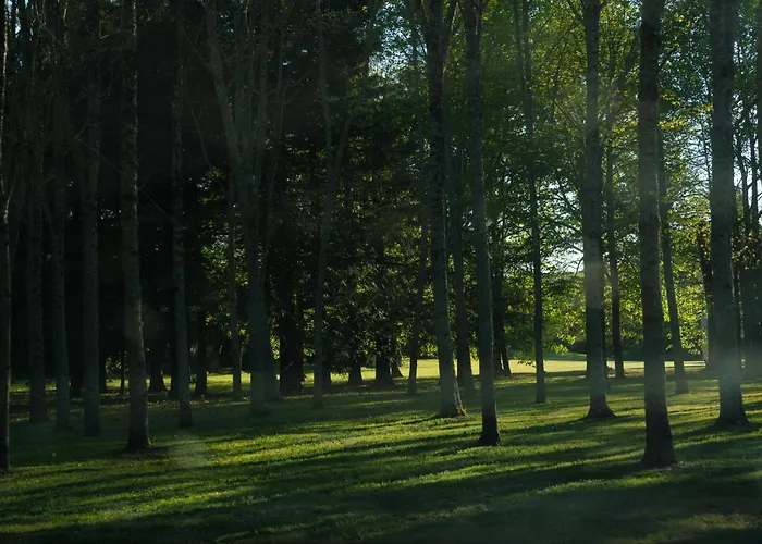 Chateau De * Saint-Martory